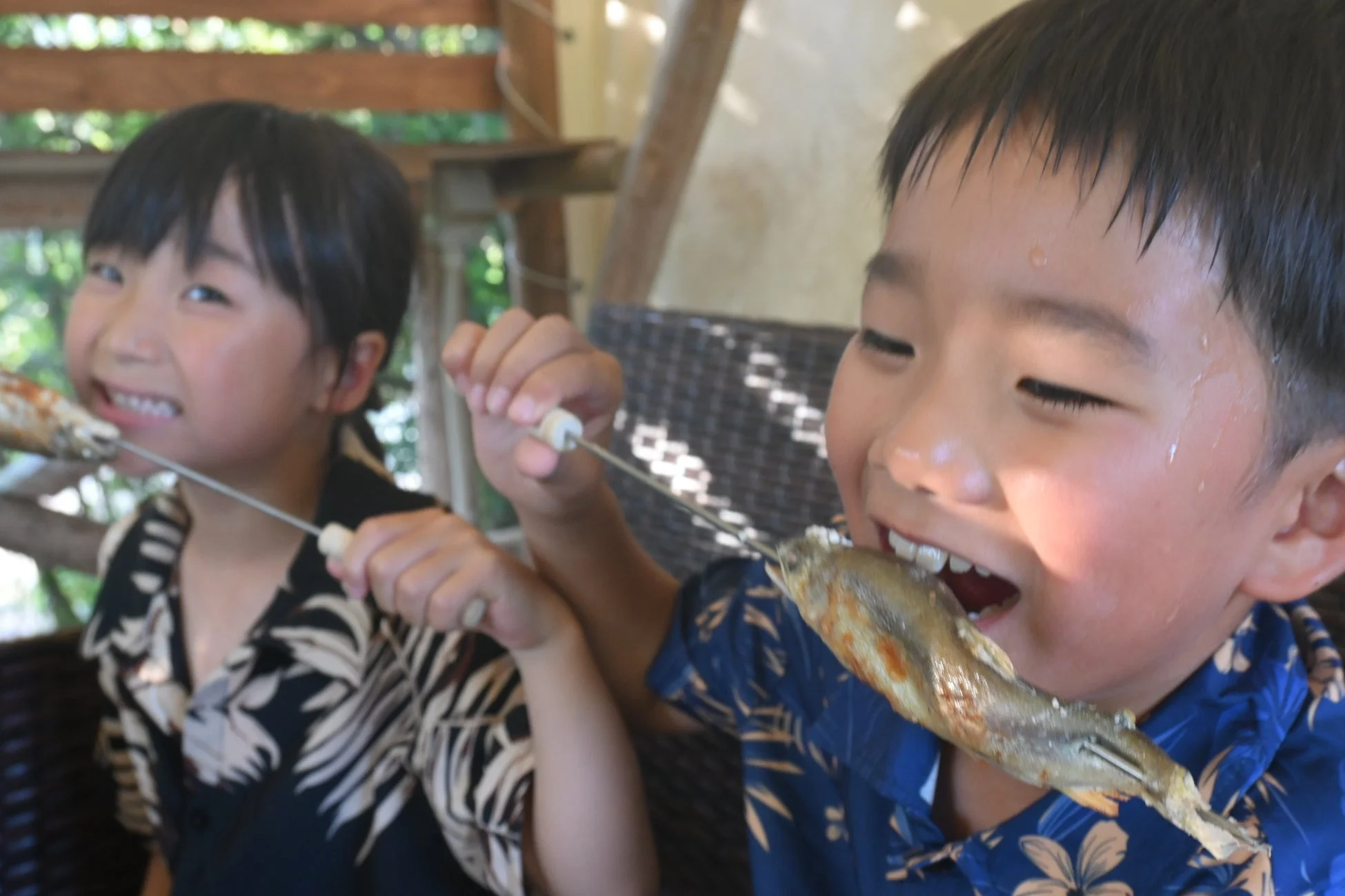 子供が鮎の塩焼きを食べる