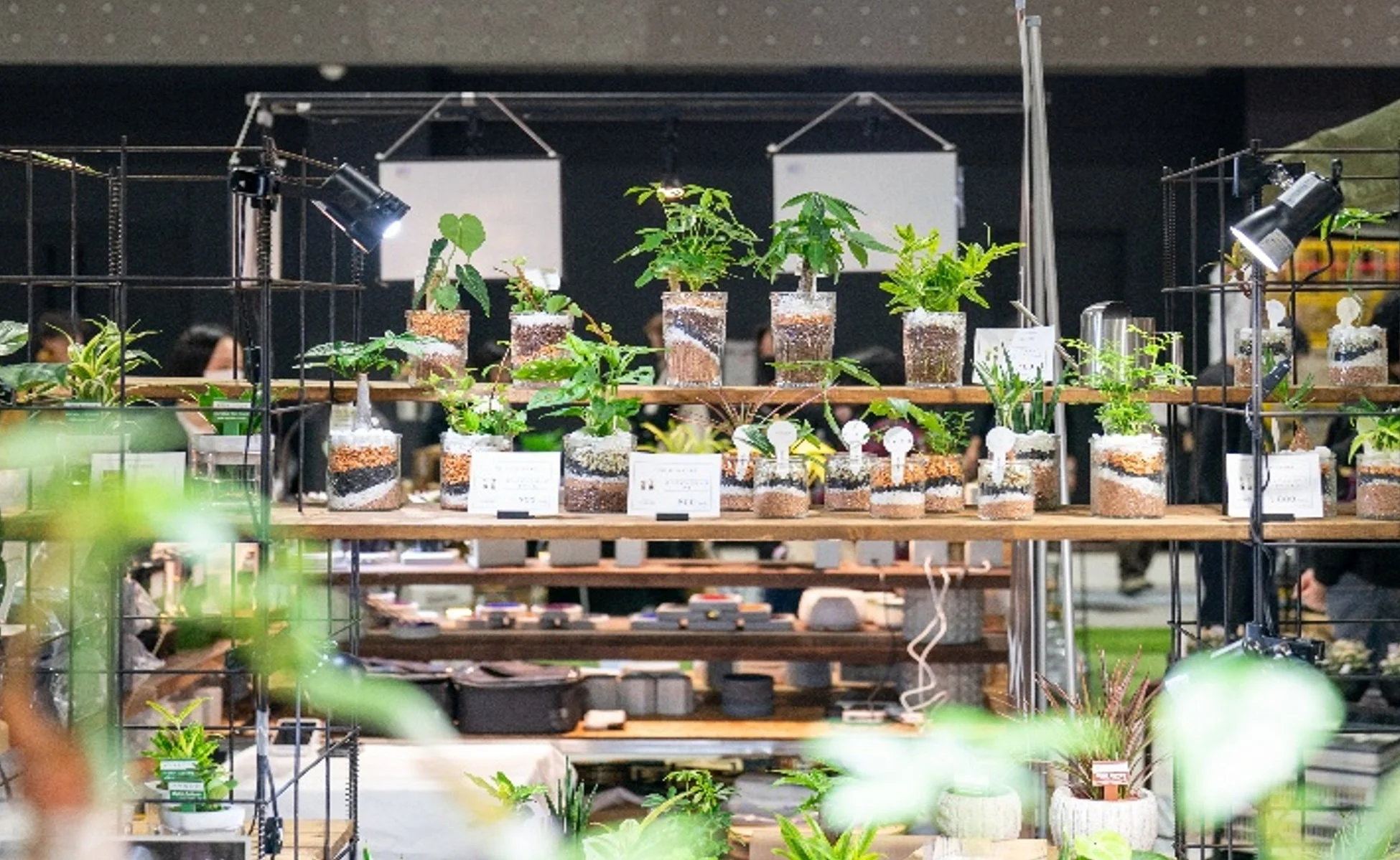 観葉植物のブース