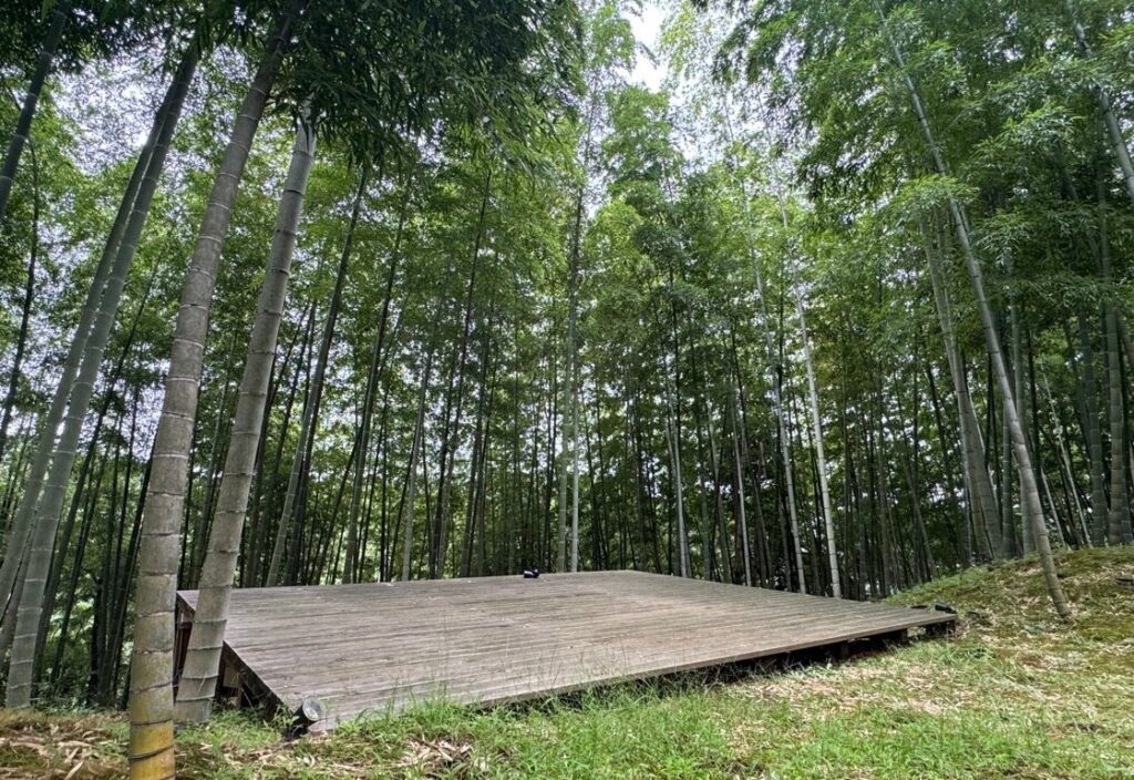 【1日1組完全貸切】1,000㎡の竹林をまるごと貸し切るキャンプ場「BAMBOO BASE KATSUURA」が千葉・勝浦にリニューアルオープン!