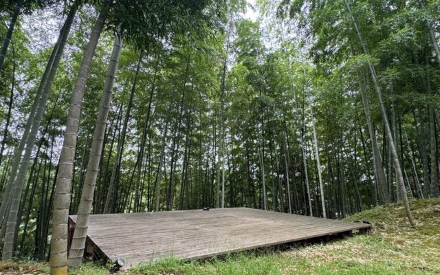 【1日1組完全貸切】1,000㎡の竹林をまるごと貸し切るキャンプ場「BAMBOO BASE KATSUURA」が千葉・勝浦にリニューアルオープン！