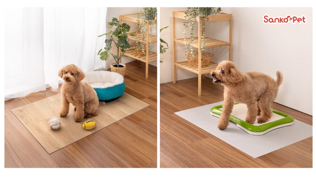 【Sanko Pet】トイレの粗相や食べこぼし対策に特化したマット&シート2種を新発売