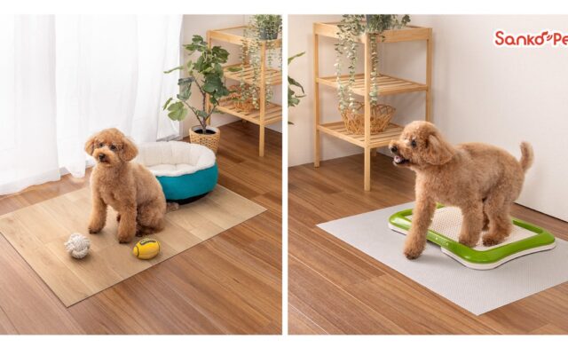 【Sanko Pet】トイレの粗相や食べこぼし対策に特化したマット＆シート2種を新発売